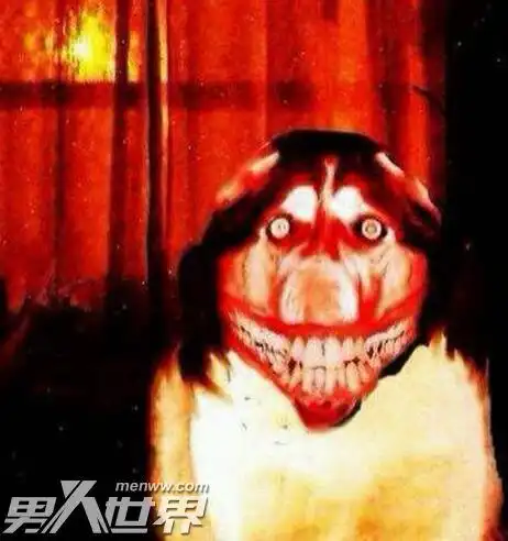 微笑狗图片是之前在网上很流行的恐怖图片,其实图片