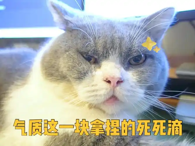 气质这一块拿捏的死死滴