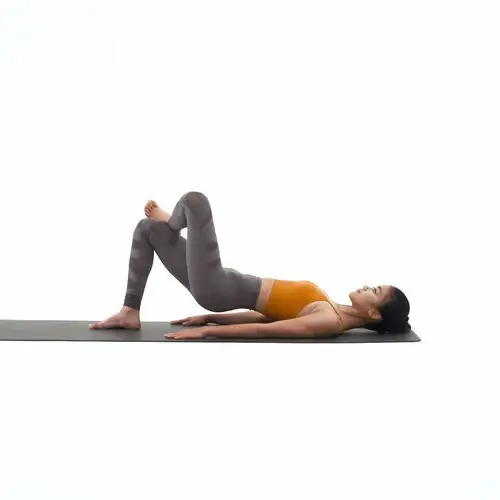 左侧单腿开胯桥式