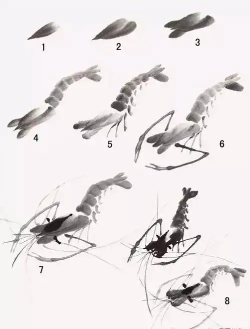 国画教程教你怎么简单几步学会画鱼虾蟹