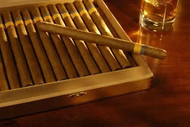 带有氨水味的雪茄是劣质雪茄吗