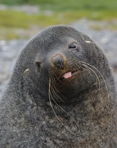 自然圈 · its your nature