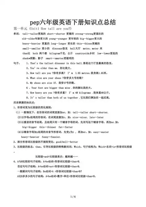 pep六年级英语下册知识点总结