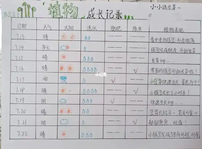 植物成长记录