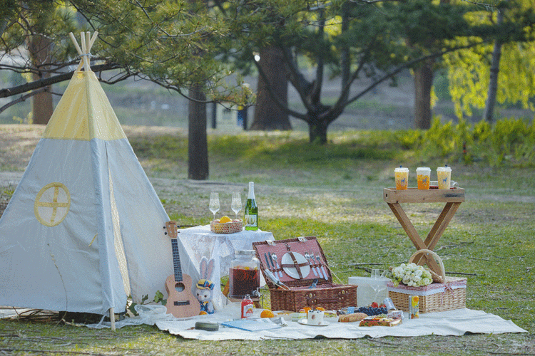 实用又做作的春日野餐指南