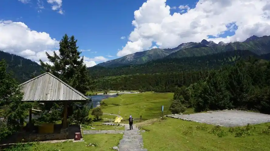 西藏林芝鲁朗镇贡措景区风光