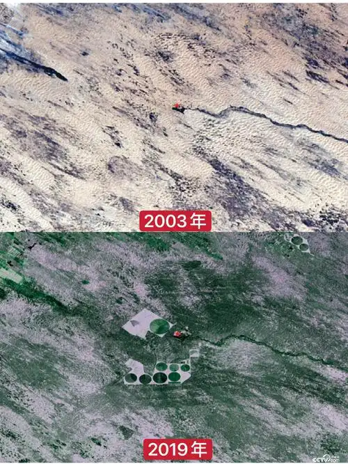 18年治沙染绿毛乌素他将沙漠里的树种送上了太空