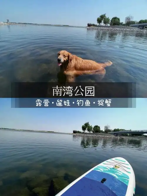 天津假期短途一日游南湾公园