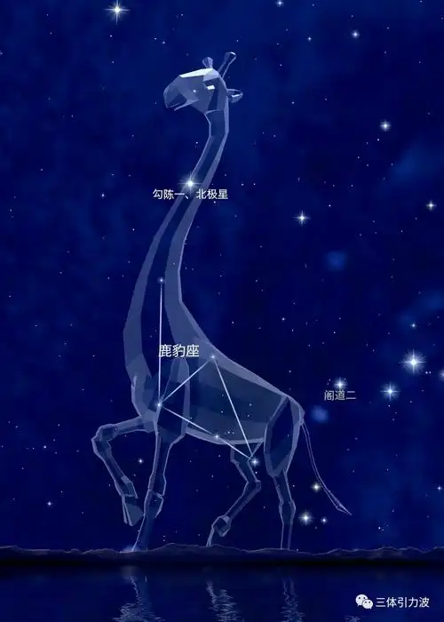 鹿豹座还是骆豹座难道是骆驼猎豹的混血儿