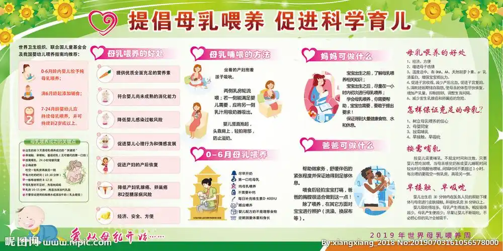 2019母乳喂养周展板图片