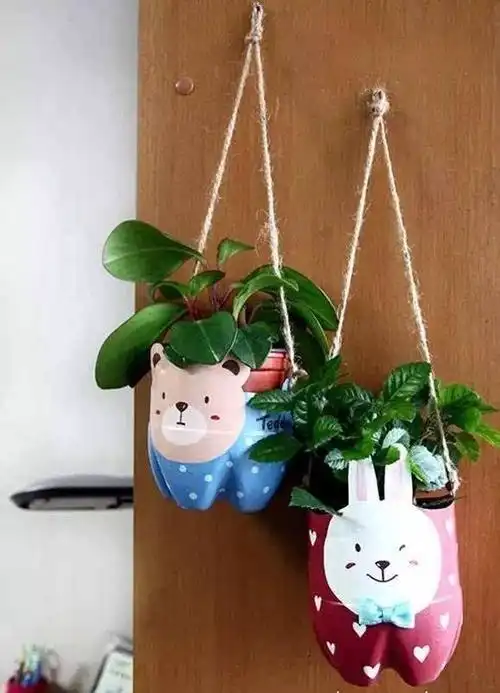 变废为宝――昌州小学开展利用废品自制花盆精心栽培植物美化校园大赛