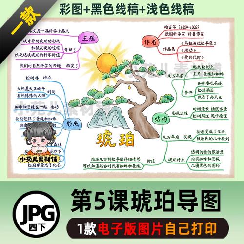 b588四语下第5课琥珀思维导图彩图 线稿电子版图片