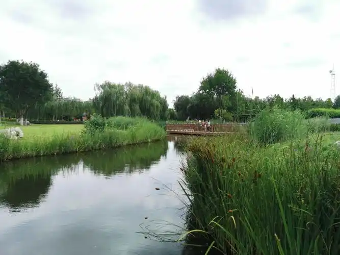 美丽的长阳新城滨河森林公园坐落在小清河畔,在这里休闲散步,不是走在