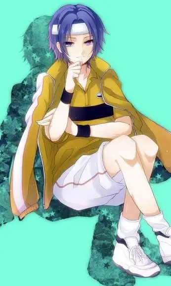 谁有网球王子中幸村的qq皮肤