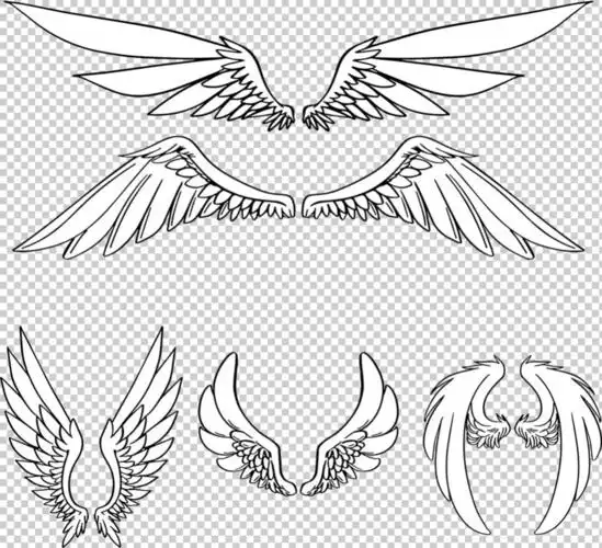 素描风格鸟类翅膀免抠png透明图层素材