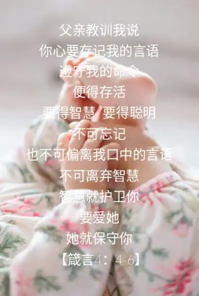 基督教 圣经 经文手机壁纸