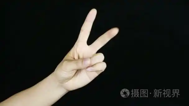 从一数到十,手势视频