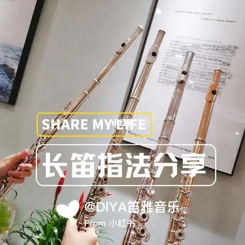 两张图搞懂长笛指法,今天你练笛了没?92