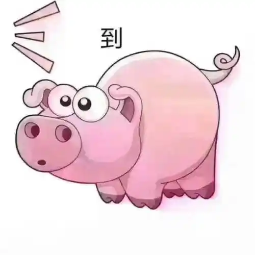 到套路到猪的表情包猪套路斗图群聊表情
