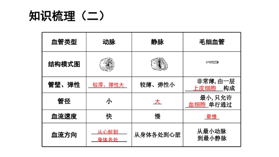 3,预习第四节《输血与血型》;2,复述第三节《输送血液的泵---心脏》