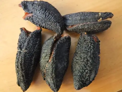 产地/厂家 蓬莱老杨海参养殖场 品种 北极海参 用途 食用 类型 淡干