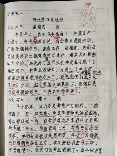 乐山市实验小学四年级11班】细观察善表达——第三单元观察日记
