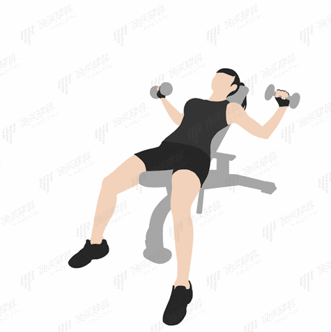 动作特点· 上斜哑铃卧推 ·接下来,我将分别介绍上斜哑铃卧推与下斜