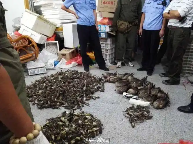 河北公安缴获1800多只非法盗猎野生死鸟(组图)