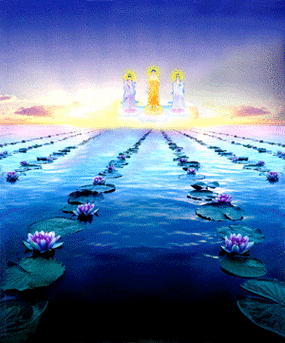 净土法门:极乐世界有不思议的能量,法身菩萨都愿意到极乐世界!