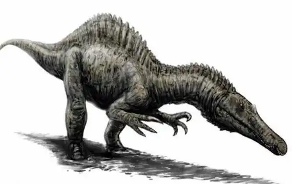 暹罗龙亚洲大型食肉恐龙长91米牙齿与棘龙相似