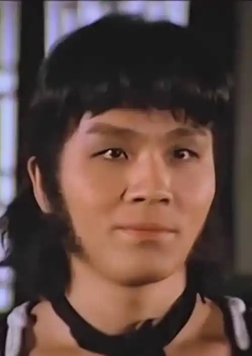 钱小豪程灵素黄敏仪胡一刀鹿峰苗人凤郭追田归农江生主演表角色表胡斐