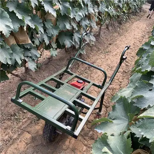 农用独轮小推车养殖场运饲料鸡公车