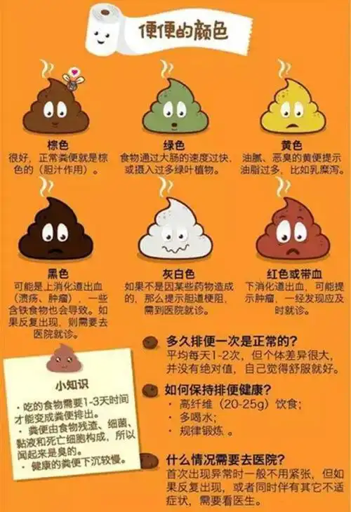 大便那点事儿 - 知乎