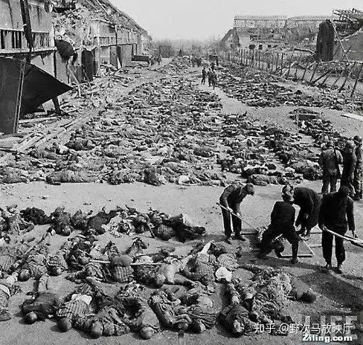 穿条纹睡衣的人们:奥斯维辛集中营下是纳粹惨绝人寰的暴行