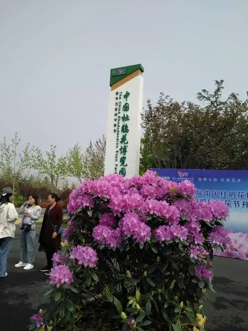第十六届中国杜鹃花博览会暨日照首届杜鹃花展