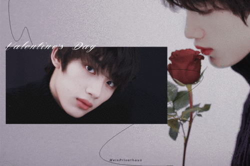 默认专辑 - 堆糖,美图壁纸兴趣社区