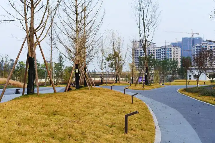 初拍东湖湿地公园-邛崃论坛-麻辣社区