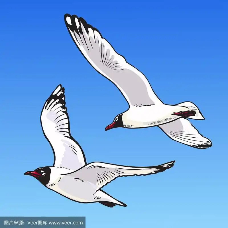 蓝色背景素描上的两只卡通海鸥