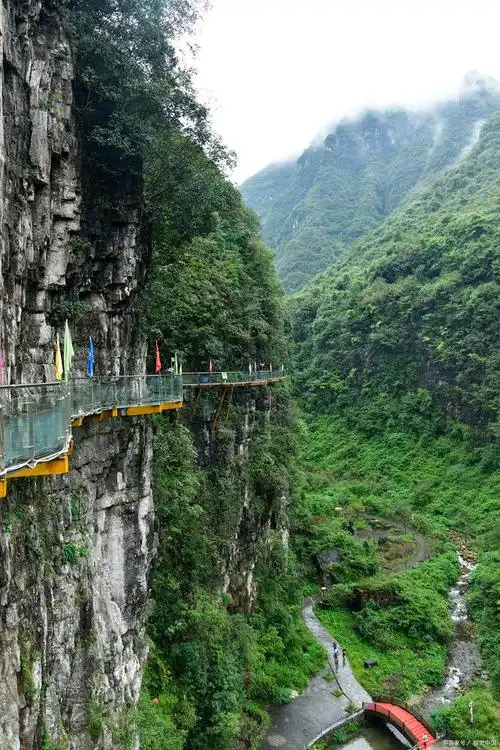 重庆万盛经开区黑山谷景区:自然与文化的奇妙交融