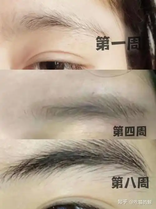 眉毛刮了会变浓吗