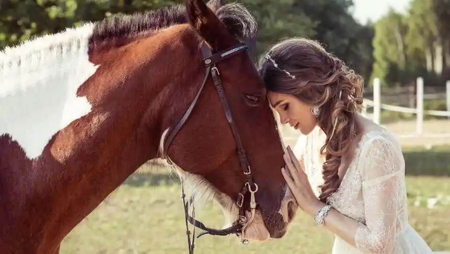 情感语录,爱情不是等你有空才珍惜