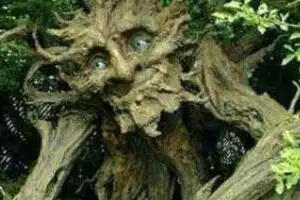 恐怖的吃人树奠柏,奠柏吃人是真的吗(虚构植物/图片)