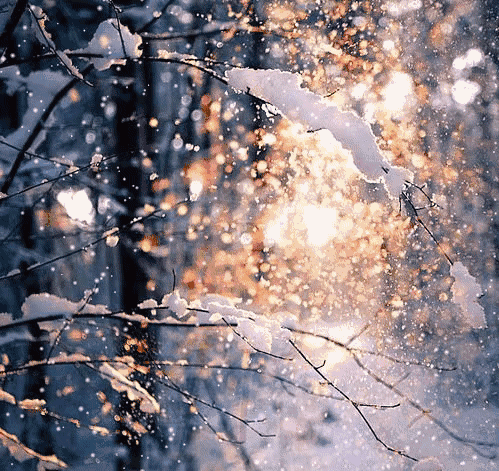 499_471gif 动态图 动图