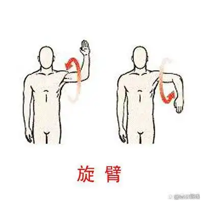 肩部训练的动作有哪些?