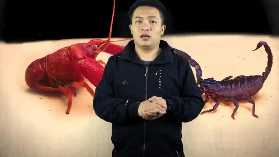 蝎子和龙虾都自带钳子,把它们放到一起,会互相伤害吗?