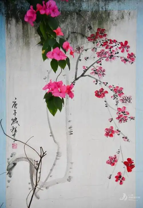 江津城区三角梅盛开,美不胜收!