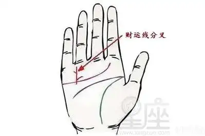 财运线分叉好吗?婚后能够创造更多的财富!