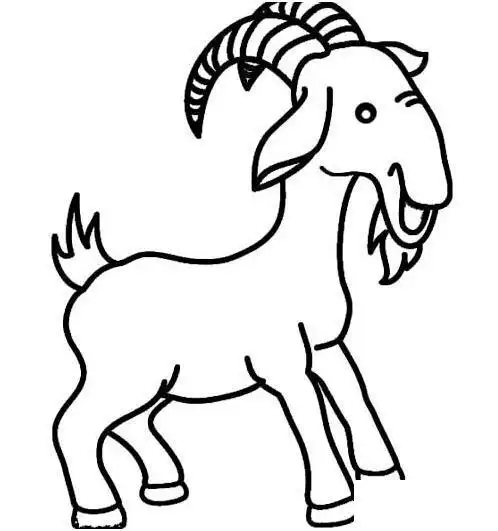 手绘可爱的小山羊简笔画图片素描铅笔