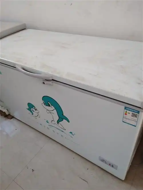 东宝冰柜,容积356l,八成新