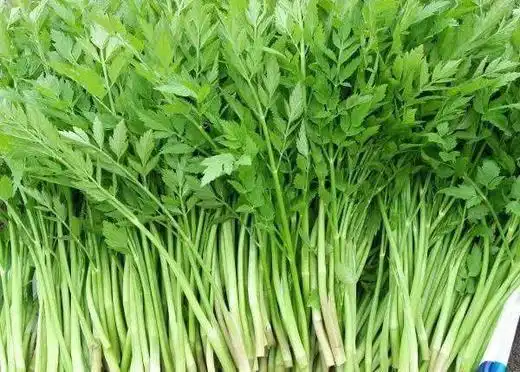 野韭菜500g6元斤